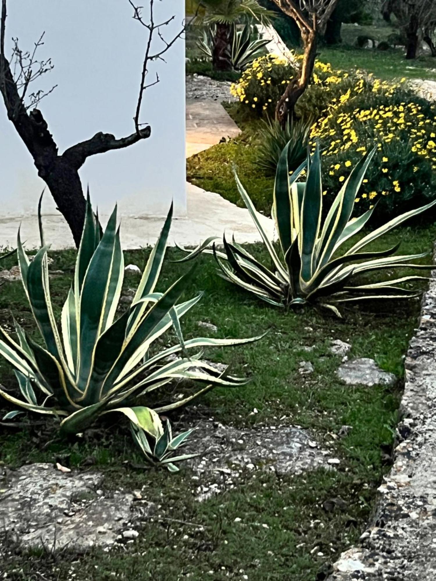 Syconium Trullo And Lamia Gea Charme And History Hotel Ostuni Exterior photo