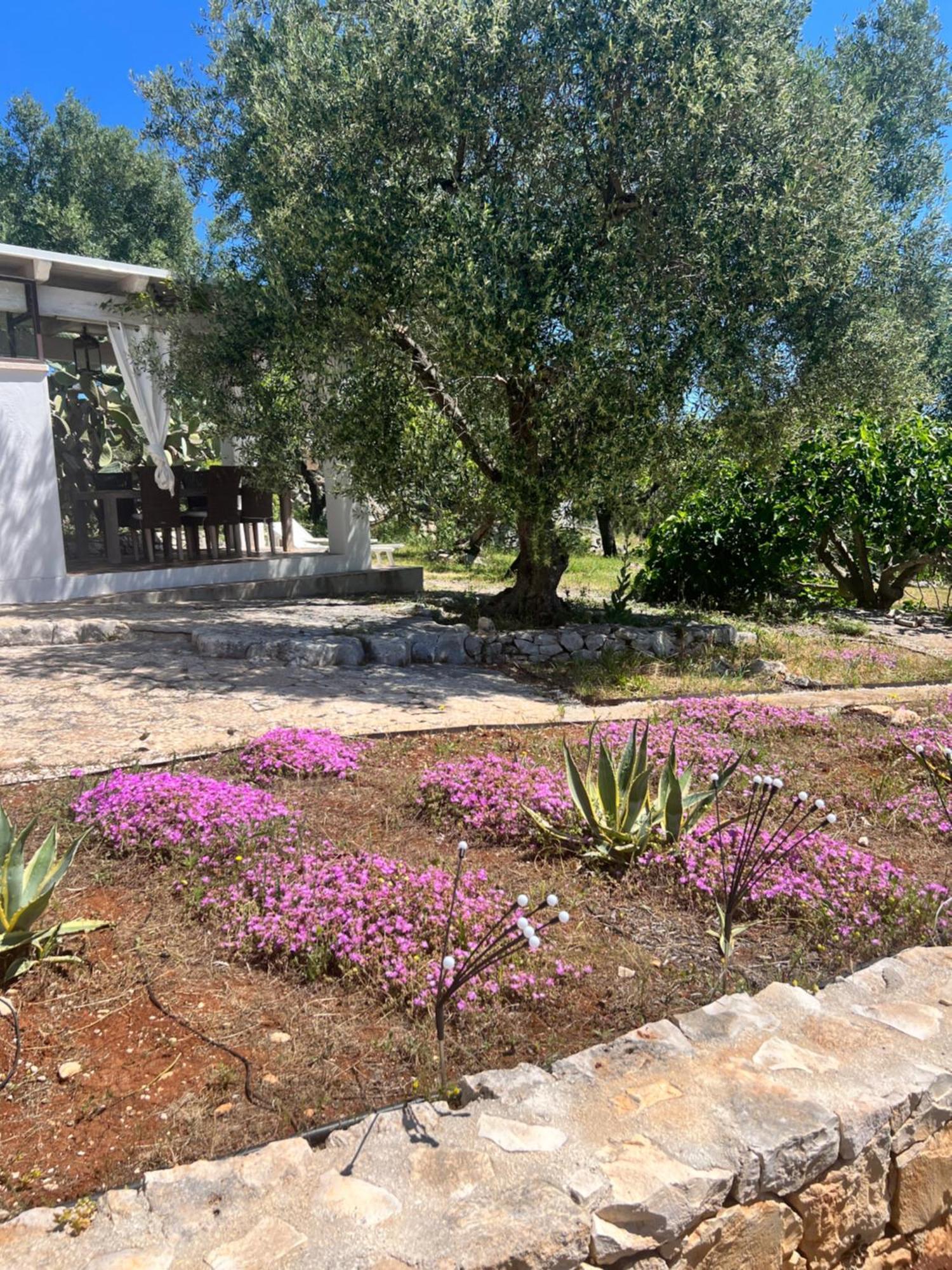 Syconium Trullo And Lamia Gea Charme And History Hotel Ostuni Exterior photo